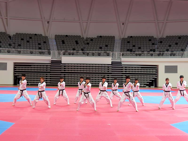 Taekwondo in Muju.