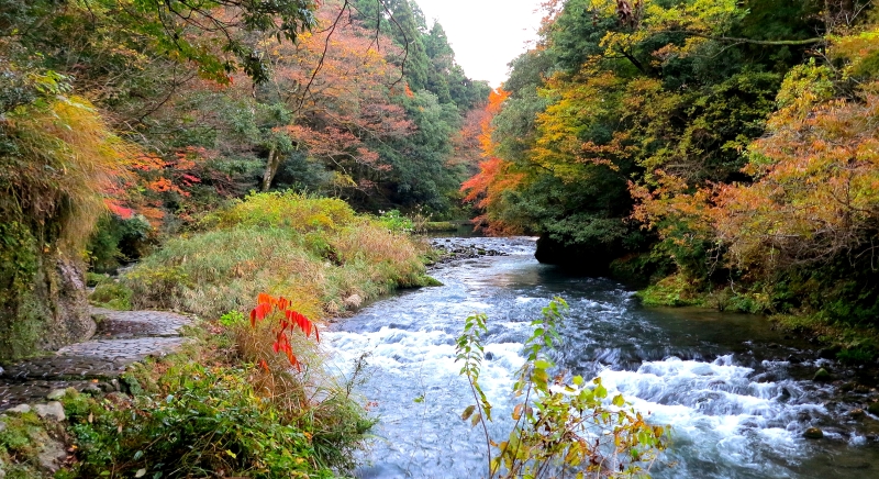 Beautiful scenery in Kaga's Kakusenkei Gorge