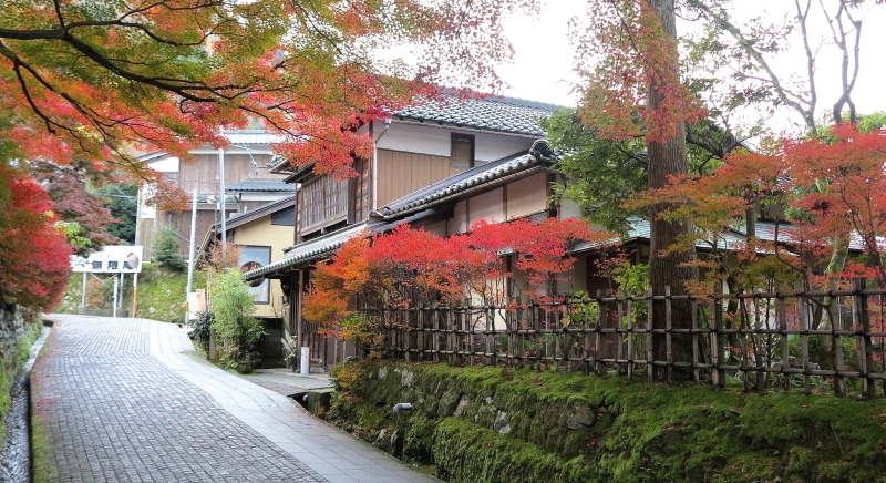 Autumn colours in Yamanaka
