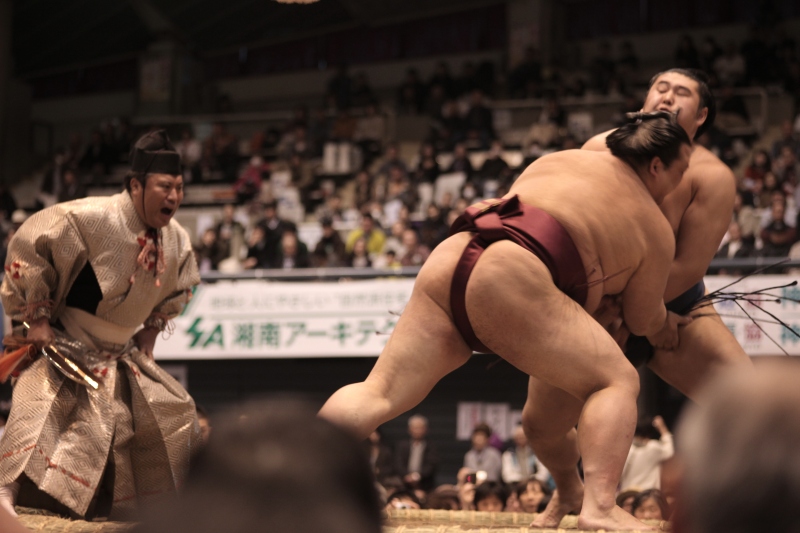 The power of Japan's sumo wrestlers is best experienced at ringside