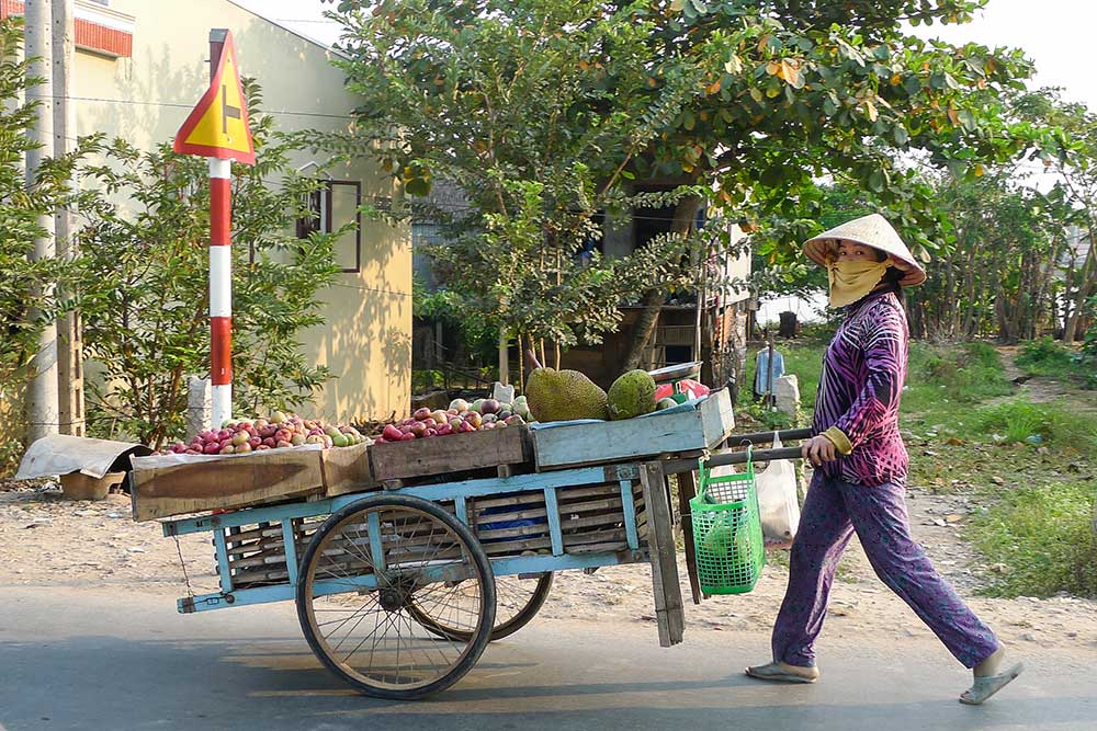 A woman pushing her vegetable cart in the Cham village