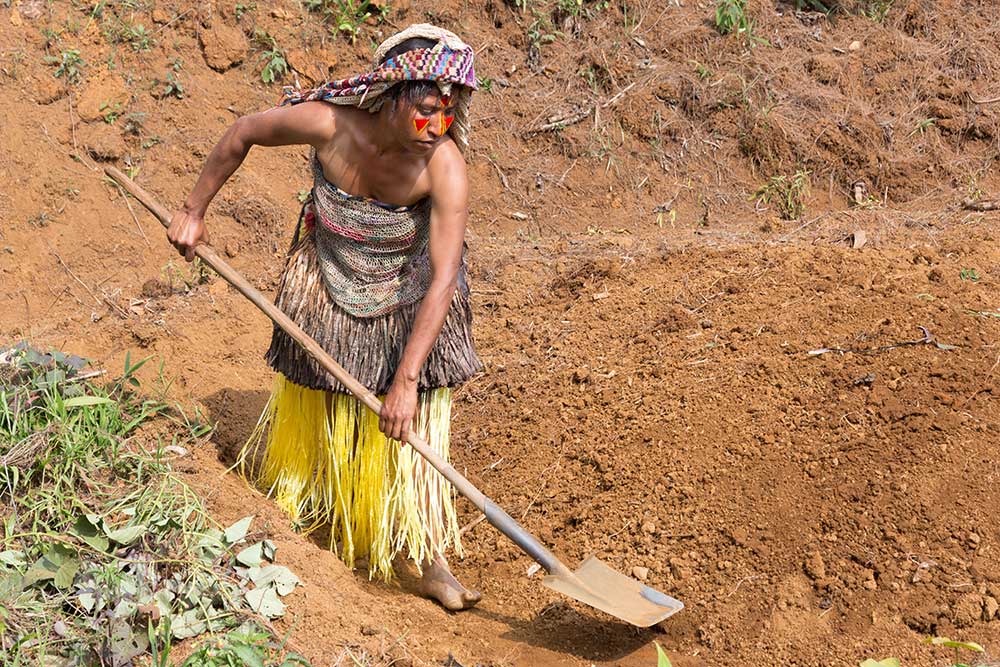 A Huli woman planting sweet potatoes, one of the staple foods in PNG.