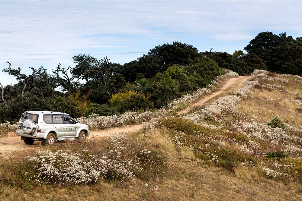 Our 4×4 on the summit of Mt. Victoria, which reaches 10,016 feet about sea level.