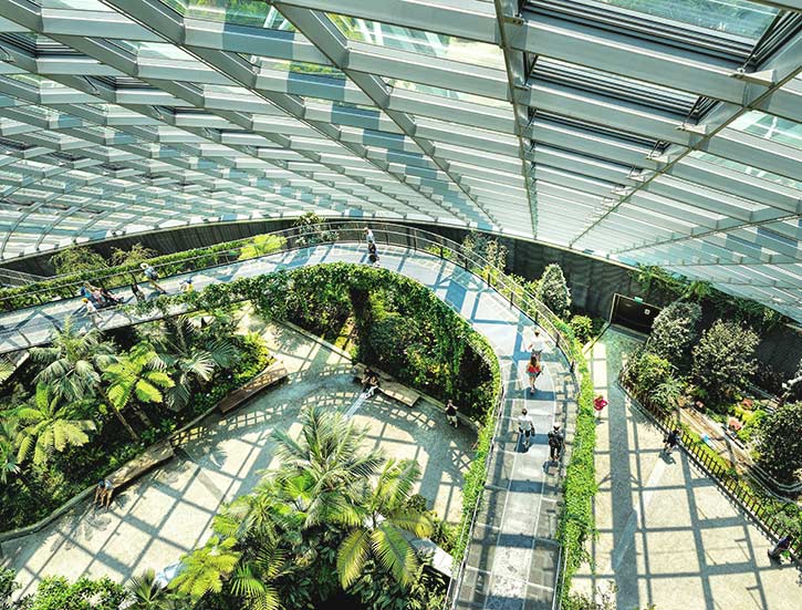 The majestic Cloud Forest Dome which is part of Gardens by the Bay in Bayfront, Singapore