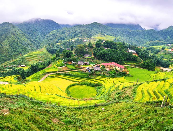 Landscape view of rice terrace in Sapa,Vietnam.