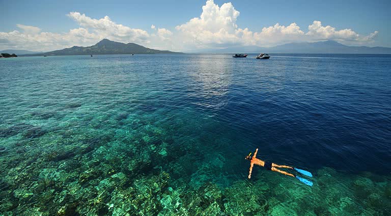 Underwater World Exploration in Sulawesi | Luxury Indonesia Itinerary ...