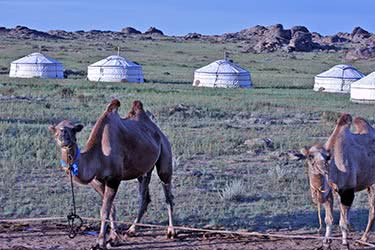 Wild Eastern Mongolia & Gobi Desert | Luxury Mongolia Itinerary ...