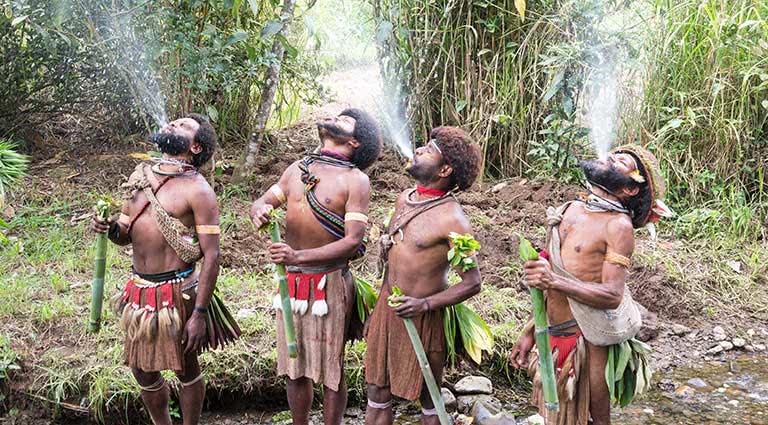 Korowai Culture