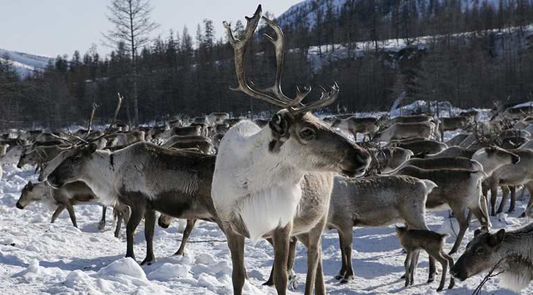 Treasures of Yakutsk | Luxury Siberia Itinerary | Remote Lands