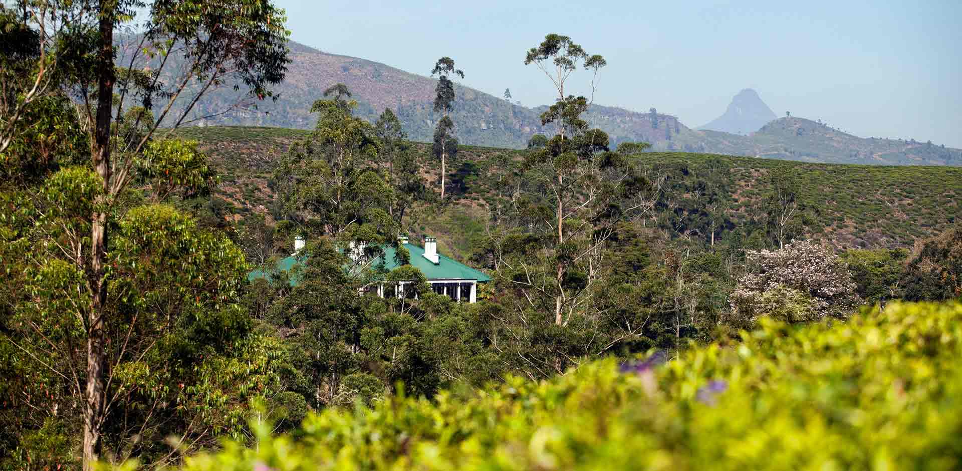 Bogawantalawa Valley