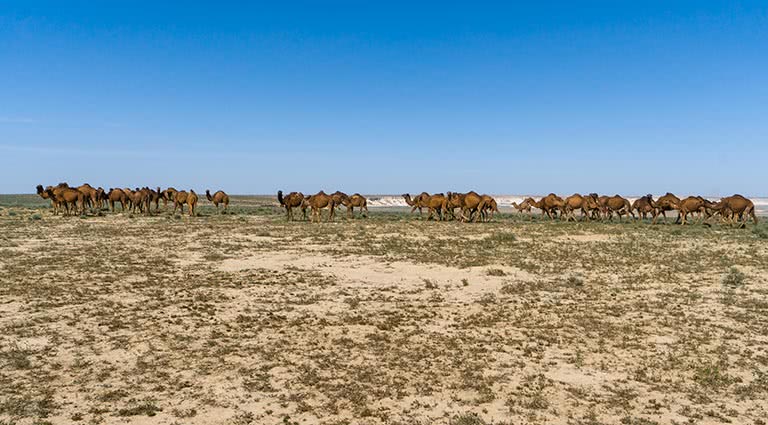 Turkmenistan's Yangykala Canyons | Luxury Turkmenistan Itinerary ...