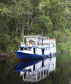 Kalimantan Explorer