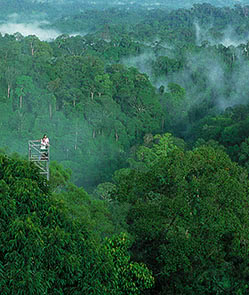 Staying in Temburong