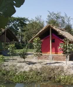 Koshi Tappu Wildlife Camp