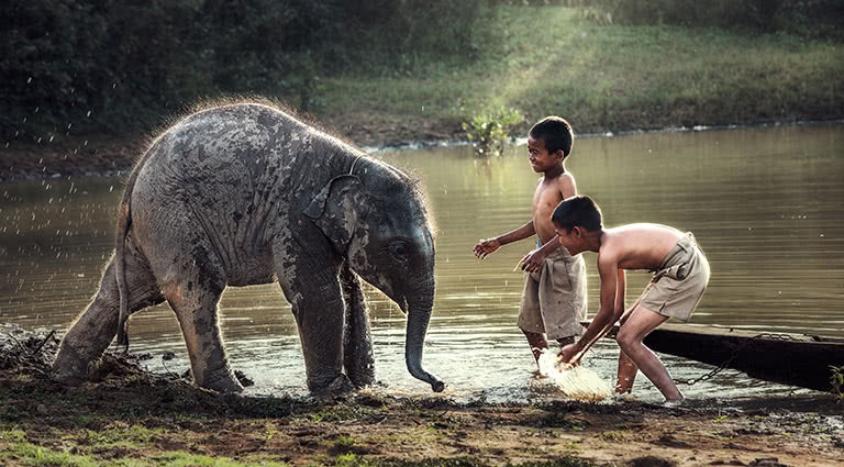 Jungles, Rivers & Elephants: Vientiane to Luang Prabang