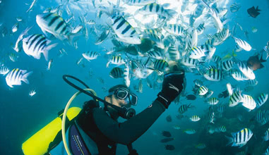 SCUBA Diving and Marine Sports