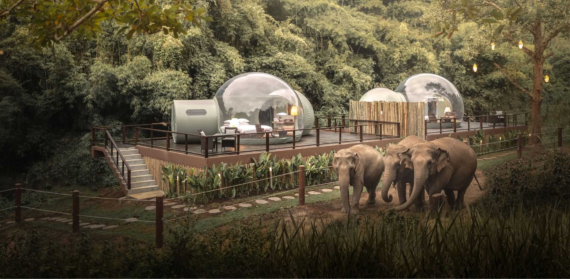 Anantara Golden Triangle Elephant Camp & Resort | Chiang Rai Thailand