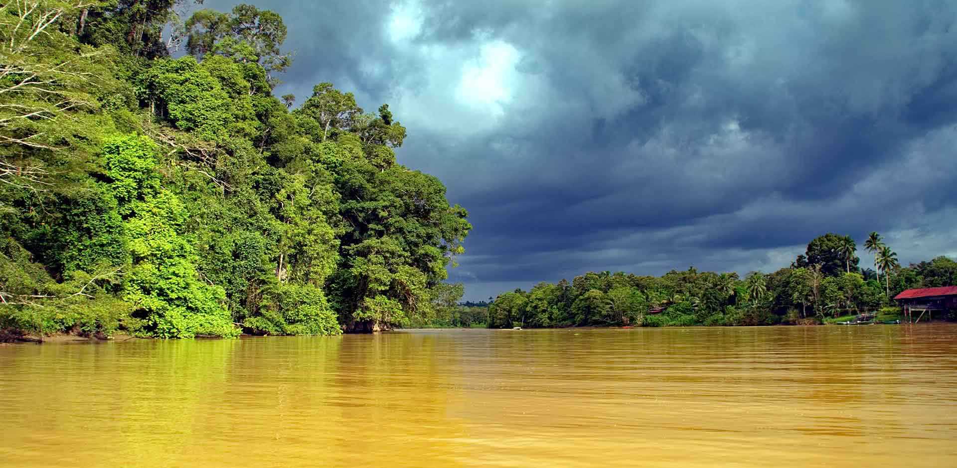 Kinabatangan River | Malaysia | Luxe and Intrepid Asia | Remote Lands