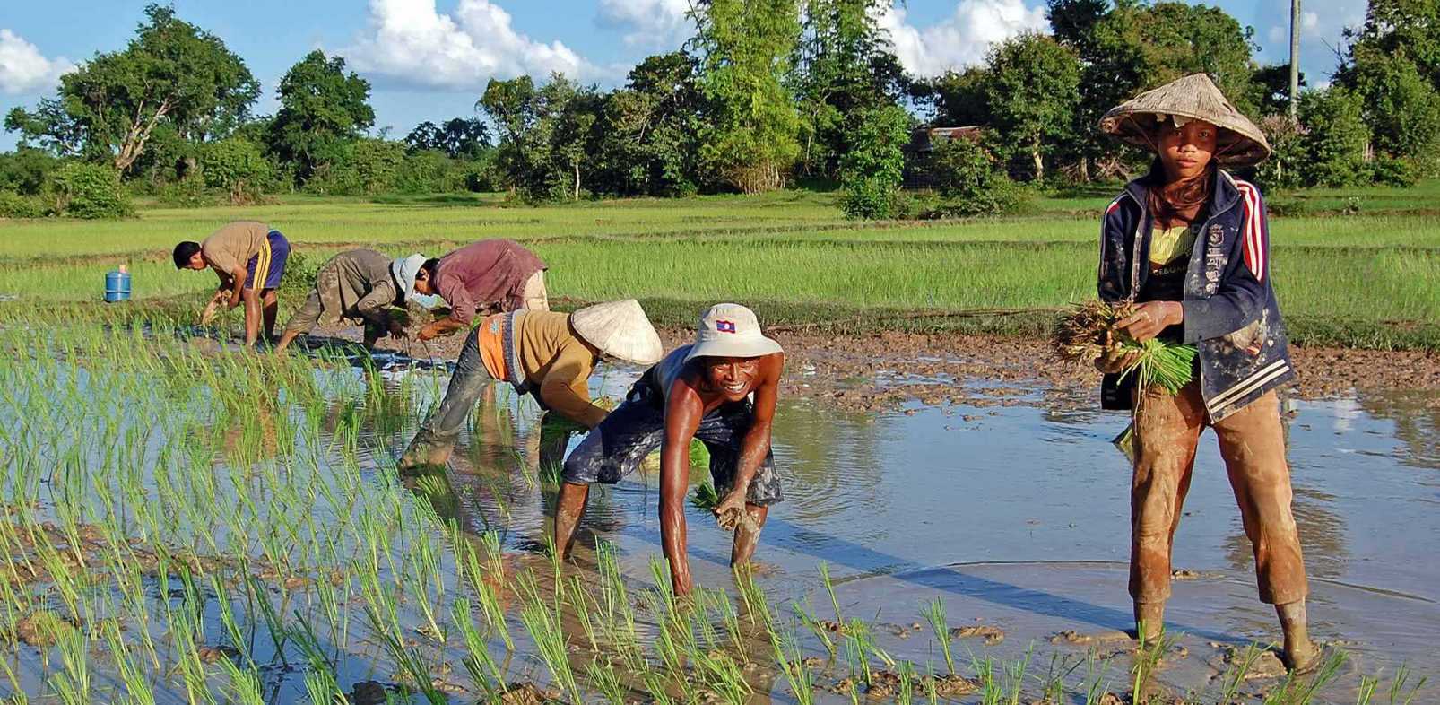 Champasak | Laos | Luxe and Intrepid Asia | Remote Lands