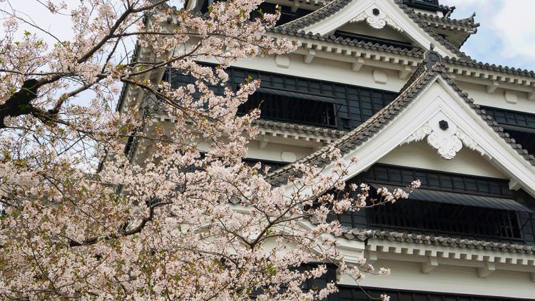 Beyond the Blossom: Japan In All Seasons