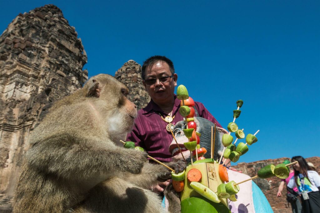 The Great Monkey Temple Feast of Lopburi Travelogues from Remote Lands