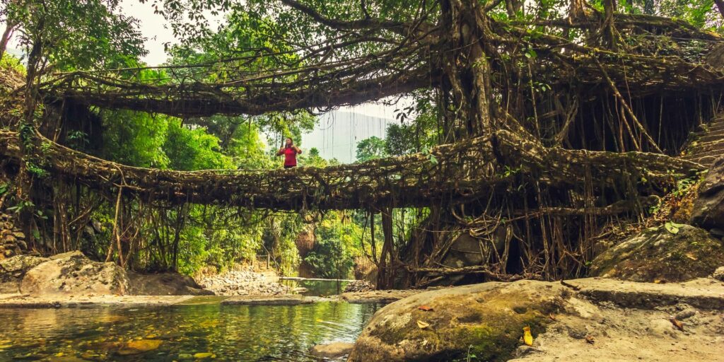 A Nature Lover’s Guide to Meghalaya - Travelogues from Remote Lands