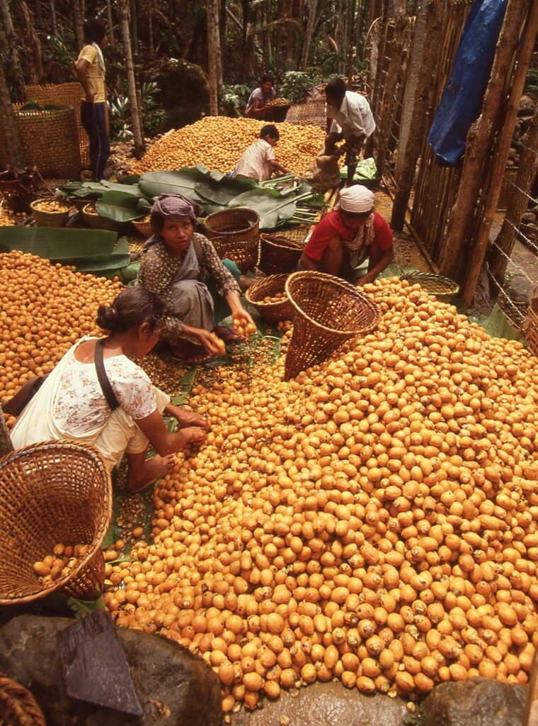 Betel Nut In The Clouds: 25-Year-Old Images From Meghalaya ...