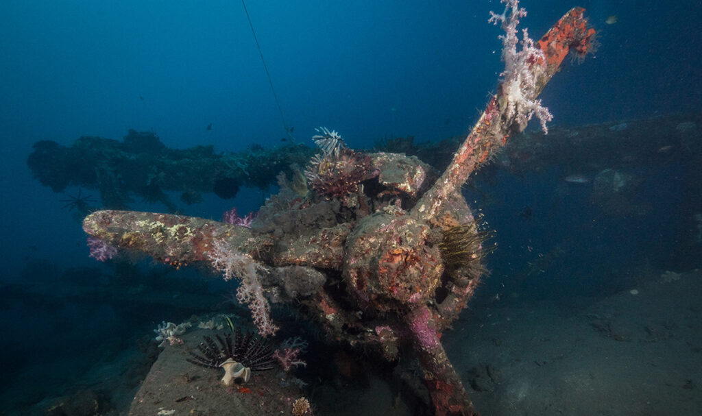 Tanks and Zeroes: Wreck Diving in Papua New Guinea - Travelogues from ...