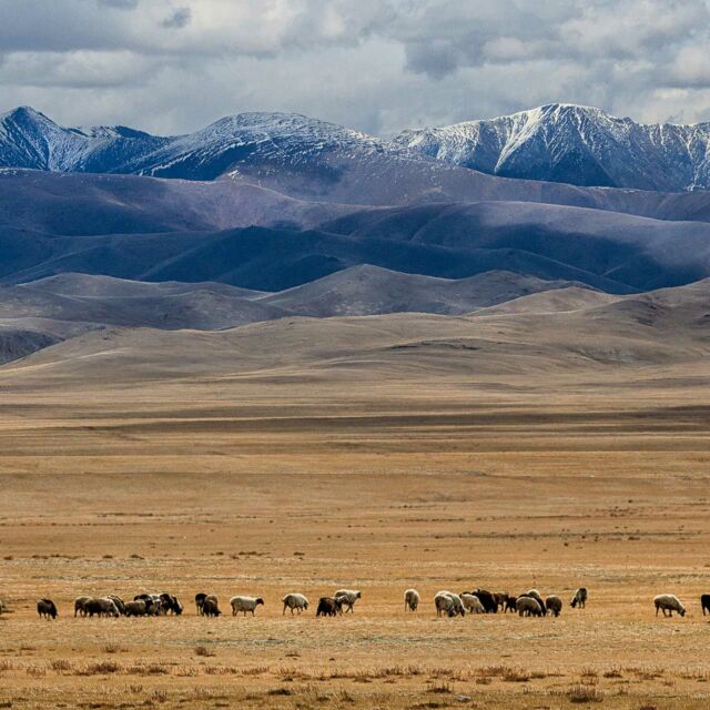 Gobi Desert Mongolia Luxe And Intrepid Asia Remote Lands