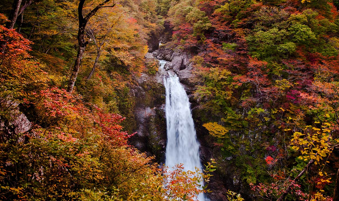 Fall Foliage Guide to Tohoku - Travelogues from Remote Lands